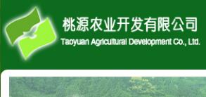 浮梁縣農業開發公司與茶葉大數據 異合食品餐飲網運營新機遇